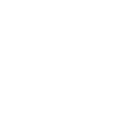 Dardo®